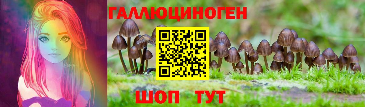 купить наркоту  Псилоцибиновые грибы Psilocybe  Алексеевка  Вход с VPN  Псилоцибиновые грибы Psilocybine cubensis 